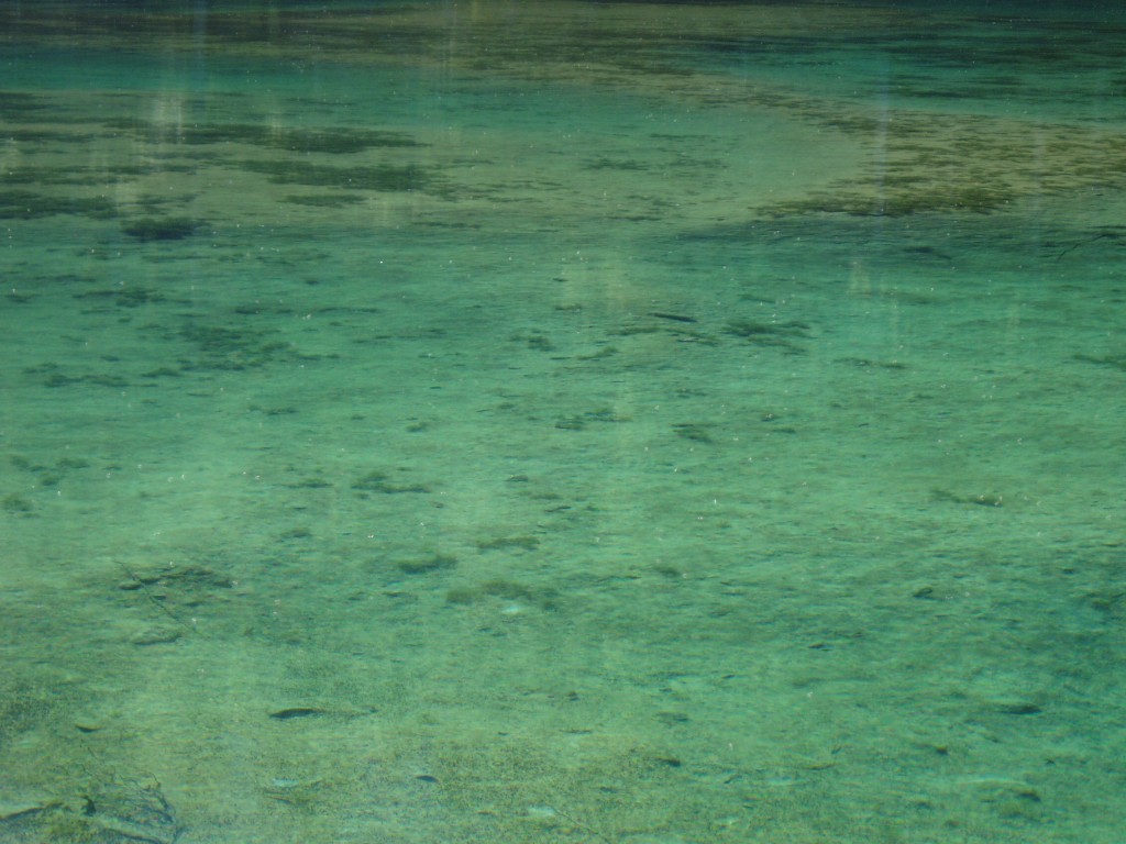 sonnenweg-hieburg-siggen-blausee-schutthofwasserfall-einode-087