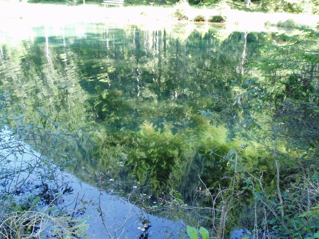 sonnenweg-hieburg-siggen-blausee-schutthofwasserfall-einode-4