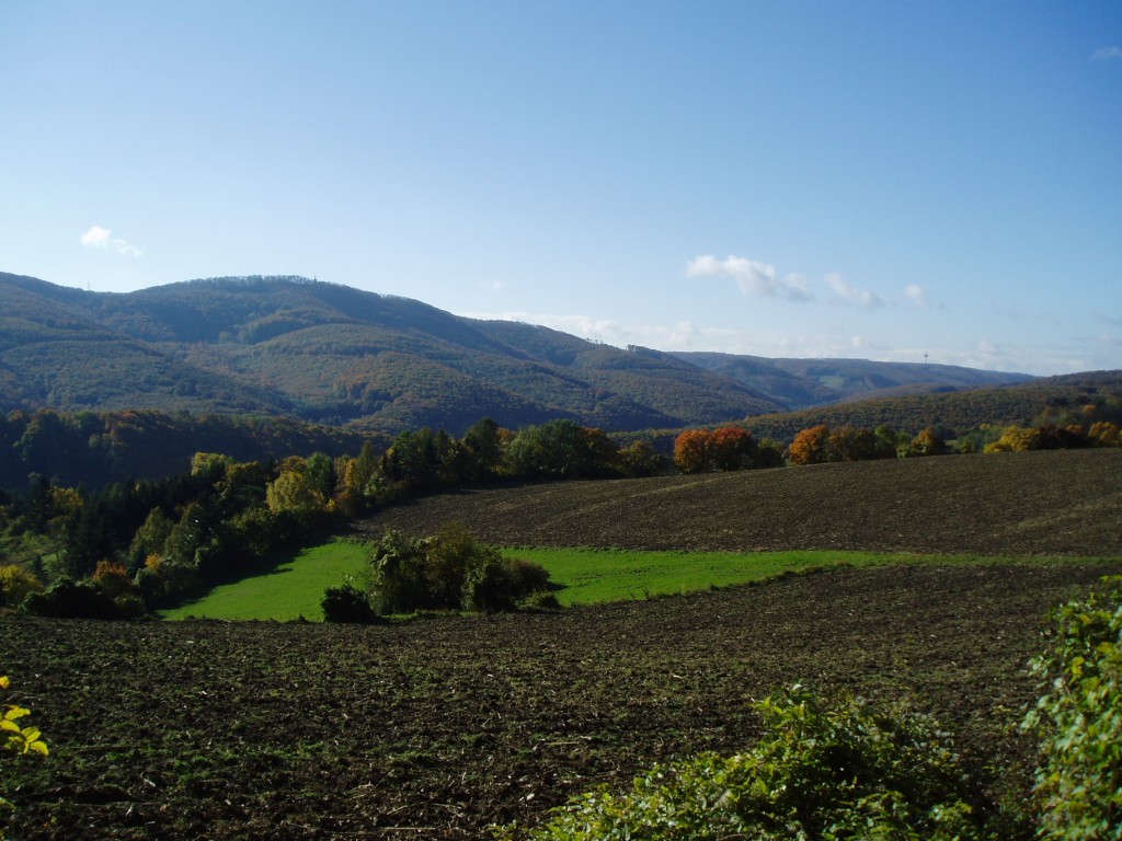 buchberg-herbst-und-sonne-055