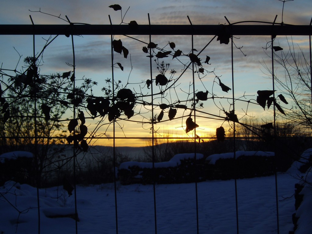 eiszapfen-und-abendlicht-114